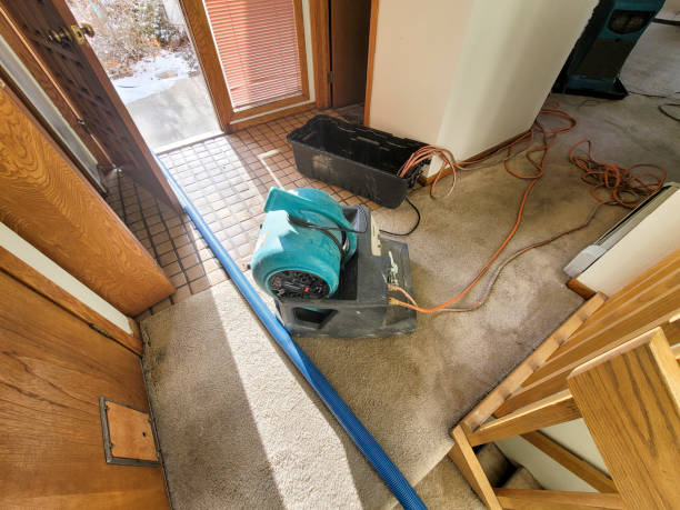 Best 24/7 water damage repair  in Rossford, OH