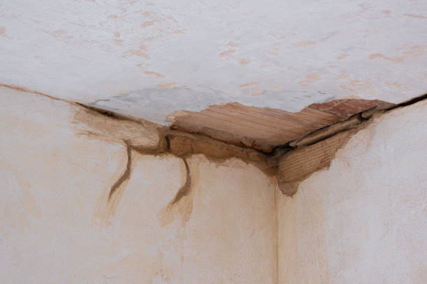 Best Ceiling water damage repair  in Rossford, OH