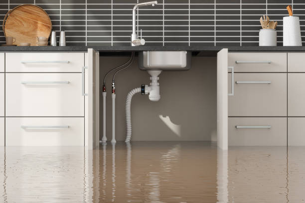Best Fire Damage Restoration  in Rossford, OH