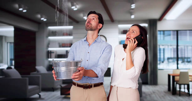 Best Local water damage restoration  in Rossford, OH